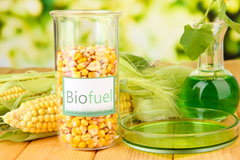 Boxbush biofuel availability