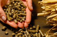 free Boxbush biomass boiler quotes