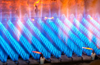 Boxbush gas fired boilers